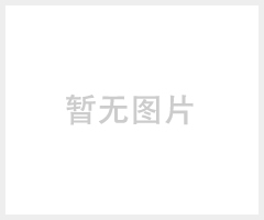 雄獅貨車輪胎拆裝機 大型輪胎拆裝機 客車輪胎扒胎機